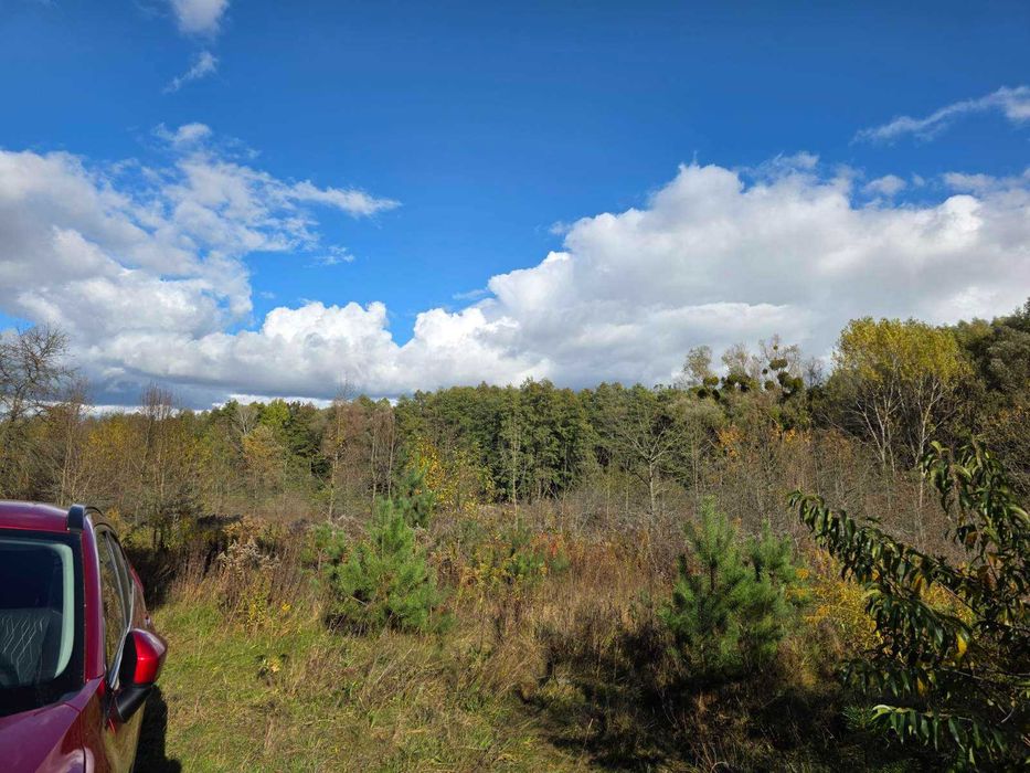 Продаж ділянки 7 соток з соснами поряд озеро Тарасівка