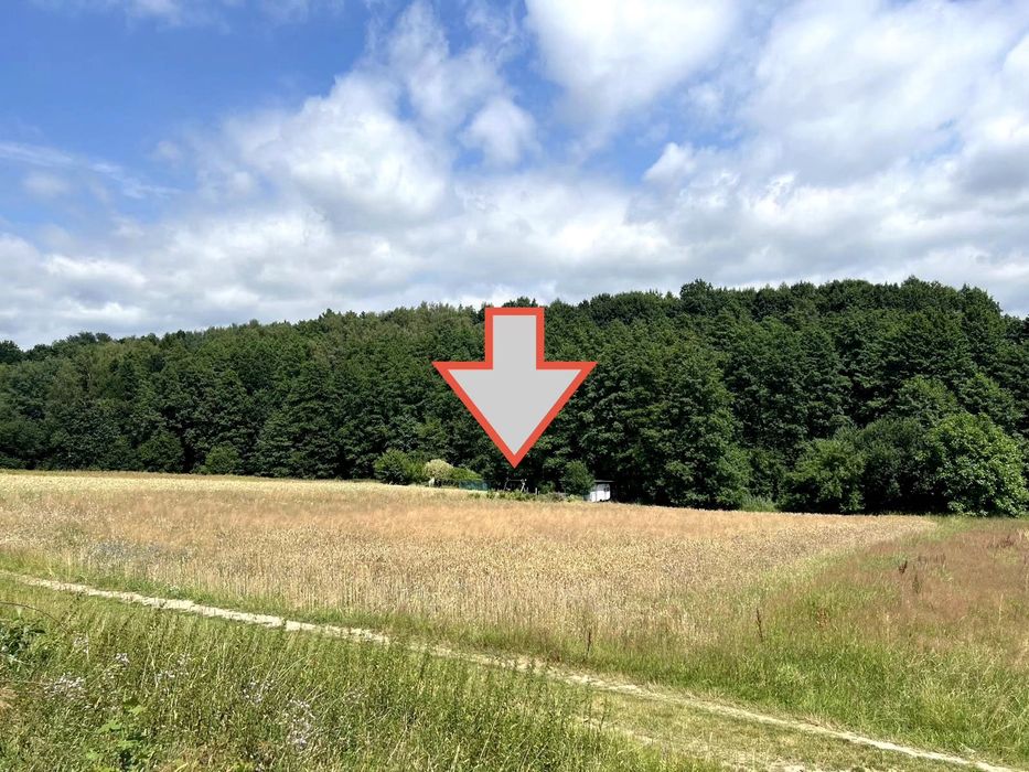 Działka budowlana 2505 m² | Mszana | Cicha okolica | Media | Idealna pod wymarzony dom - Widok 3
