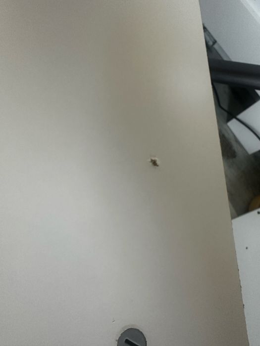 BILLY nadstawka biała 80x39x35 IKEA
