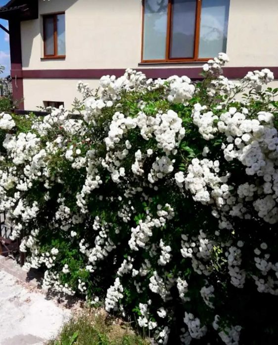 Продаж просторого 2-поверхового будинку на Старому місті