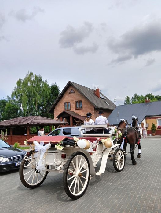 Dodatki ślubne . Bryczka do ślubu