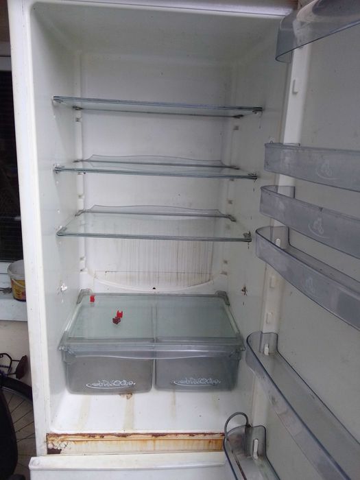 Холодильник Snaige