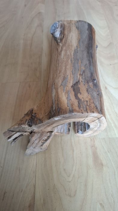 Wyposażenie terrarium, konar, drapak