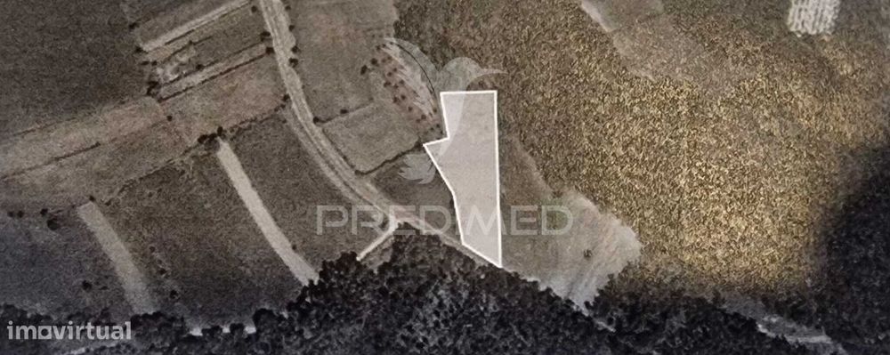 Terreno em Angeja