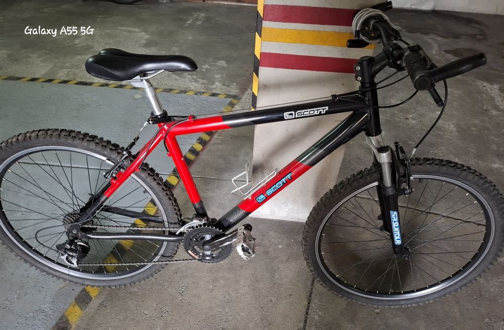Bicicleta adultos