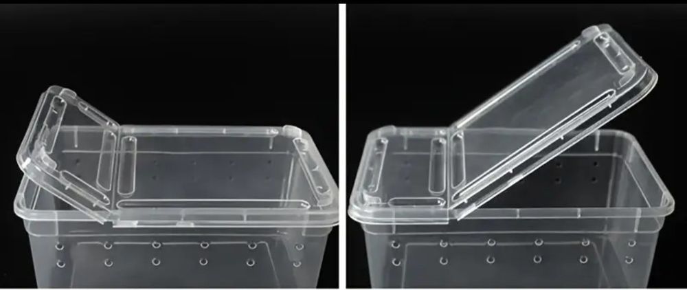 Terrarium plastikowe pojemnik box ptasznik + GRATIS !