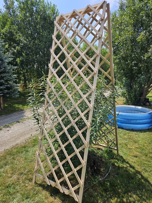Pergola ogrodowa ( kratka drewniana ) ogród cena za m2