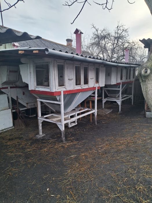 Продам клітки для кролів