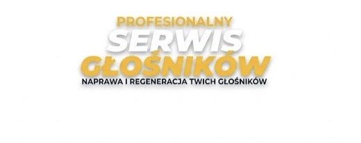 Serwis naprawa głośników