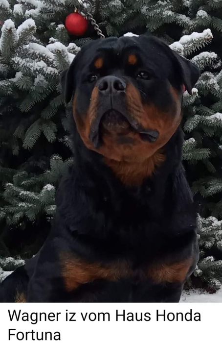 Приглашаем на вязку.