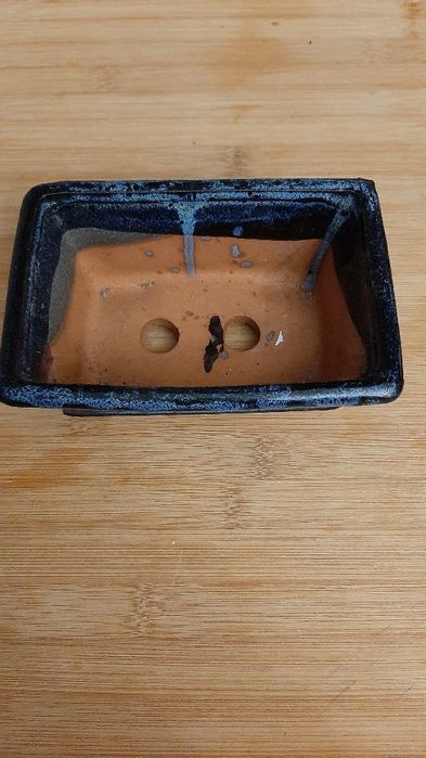 Vaso Bonsai Azul escuro