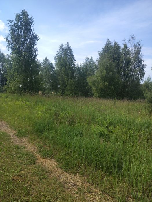 Продам 10 соток ДК Родзинка.