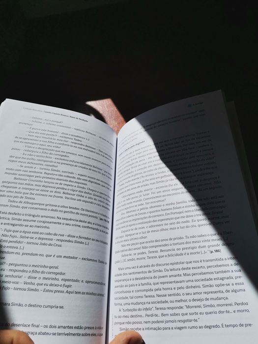 Livro de Resumos Amor de Perdição