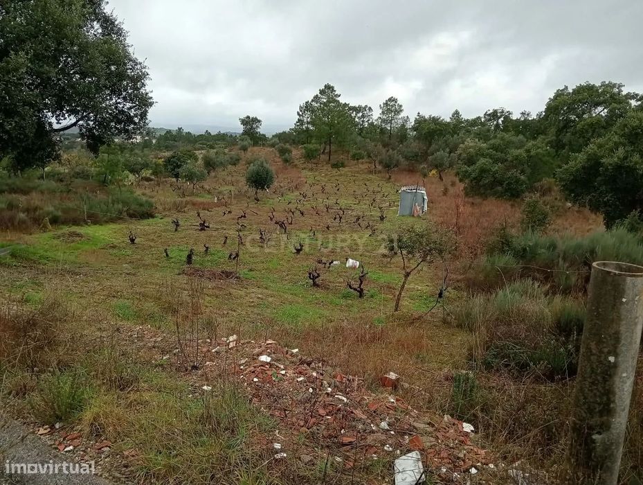 Terreno Rústico com Excelente Acesso – Oportunidade Única! — Freixial E Juncal Do Campo, Castelo Branco