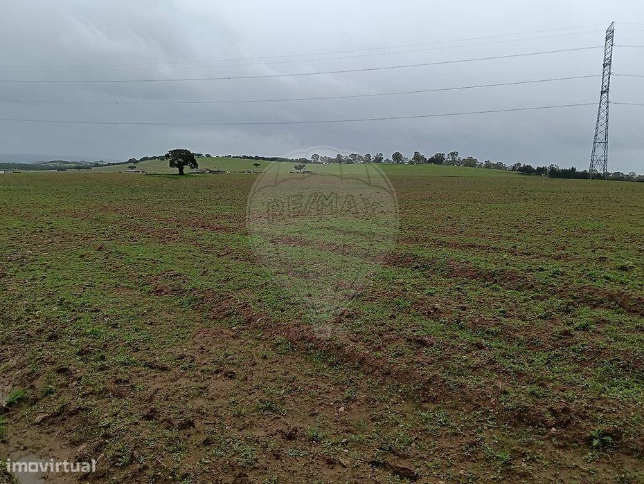 Terreno  para venda
