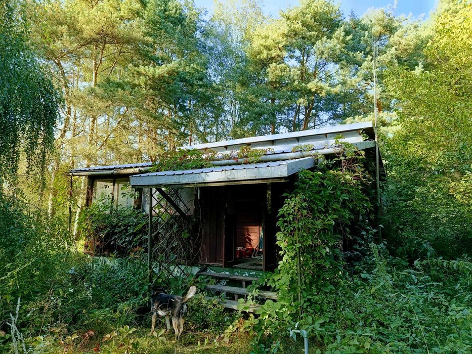 Działka, domek 44m2, nad Wkrą