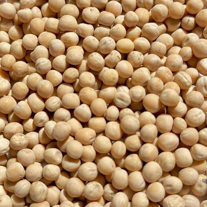 Горох Люмп (вусатий) насіння мікрозелені