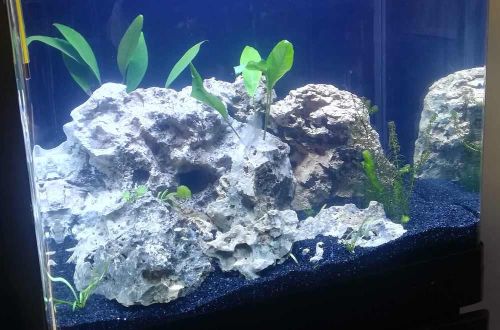 Pedras Decorativas e Areia para Aquário – Mantidas em Água