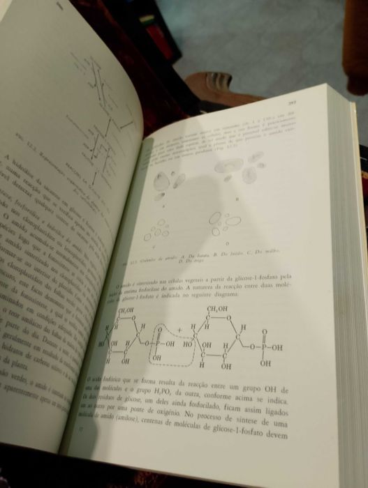 Introdução à Fisiologia Vegetal 1970 B. S. Mayer