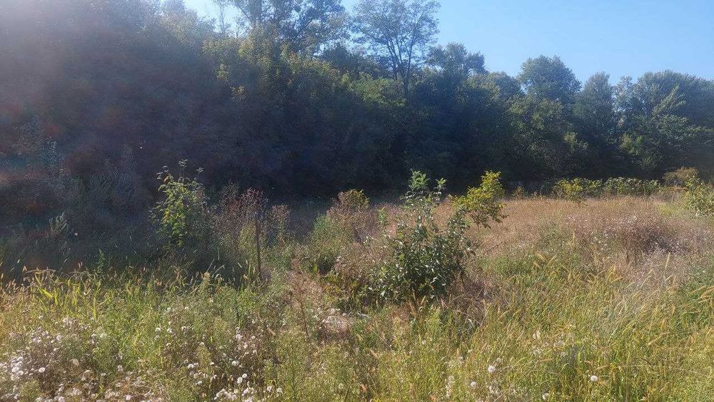 Продаж земельної ділянки, с. Благодатне