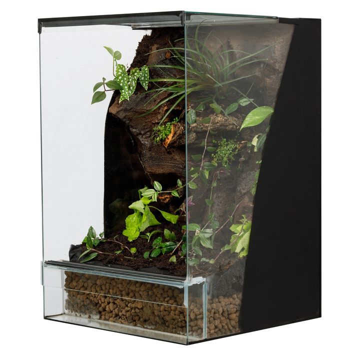 Terrarium 40x40x60 gekon paludarium