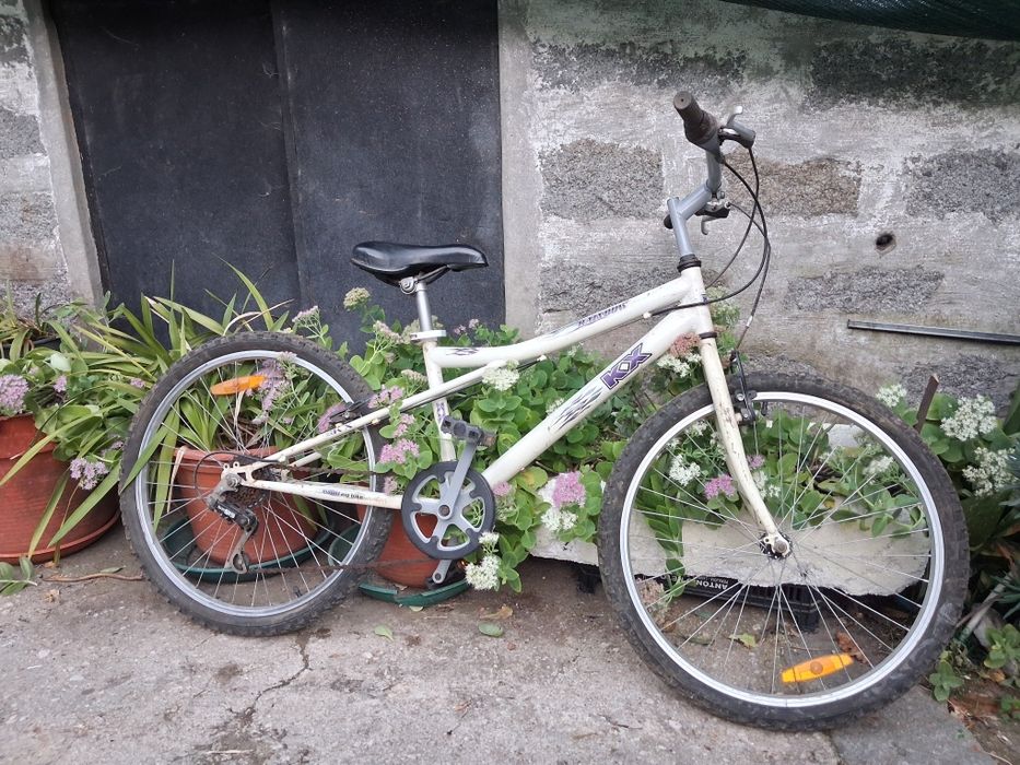 Bicicleta roda 24