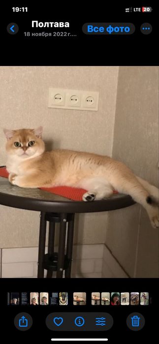 Класнючий мачо ! Вязка