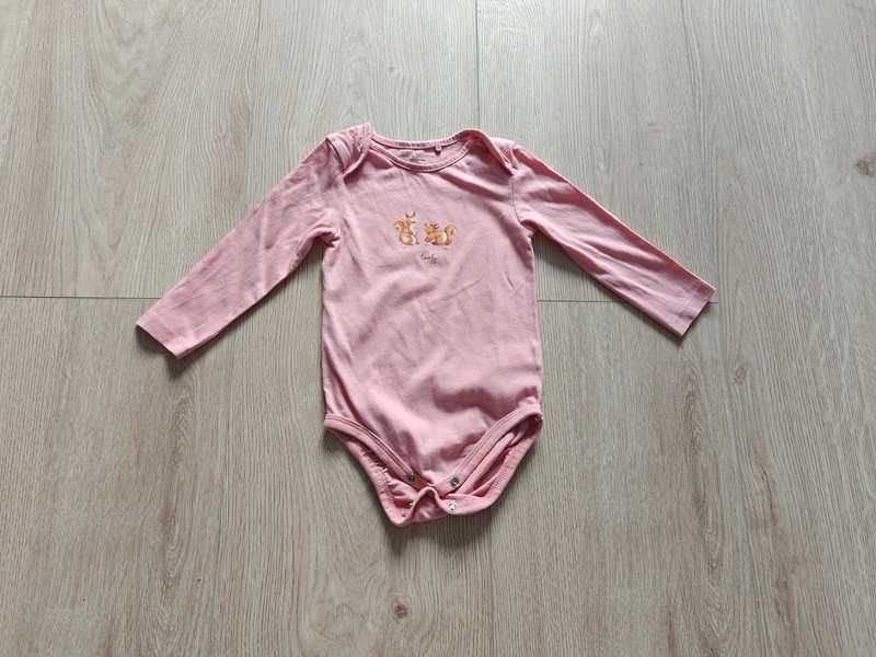 Body w wiewiórki 80