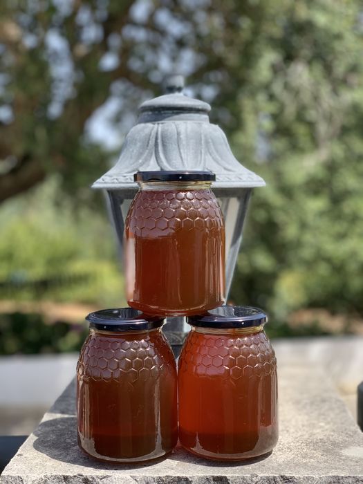 Mel biologico de rosmaninho