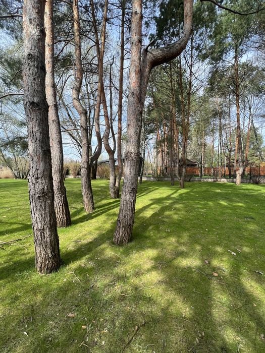 Продажа стильного дома с бассейном Козин