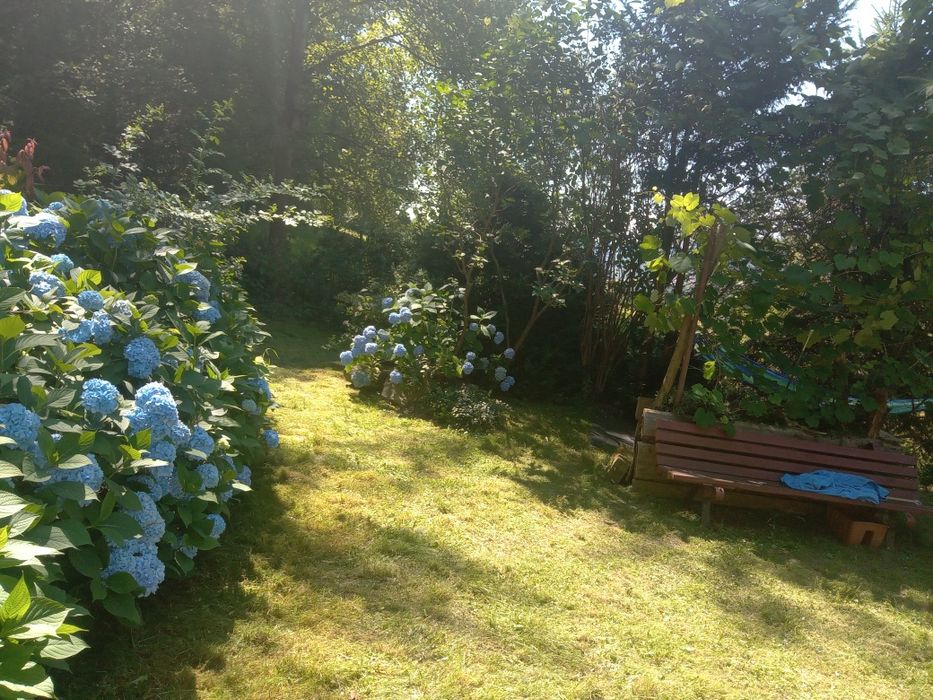 Sprzedam dwie działki przy lesie.