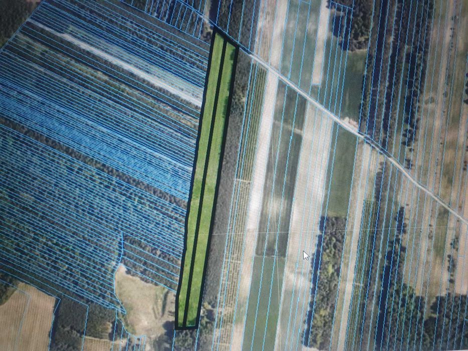 Sprzedam działkę rolną w Brzezinach 6,82 ha gm. Szydłów pow. staszowski - Widok 4