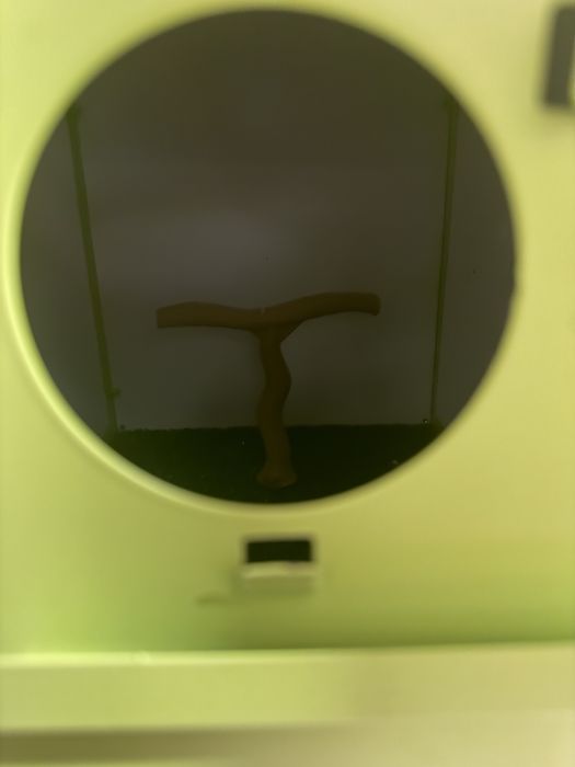 Estúdio Fotográfico para Aves S.T.A. ArtiSTA – Praticamente Novo
