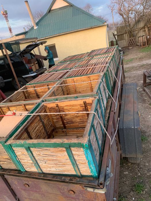 вулик, корпусний, очеретяний