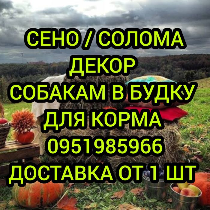 ‼️СІНО ДЕКОР, СОБАКАМ В БУДКУ с доставкой от 1 шт  в тюках, сено в тюках мешках  (проса и др виды).
