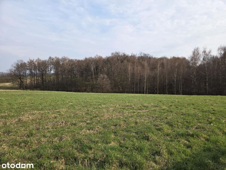 Atrakcyjna działka budowlana - Wojnicz