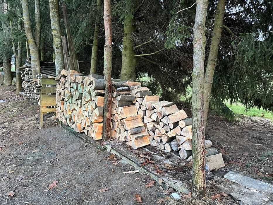 Drewno kominkowe (grab, buk itp.)