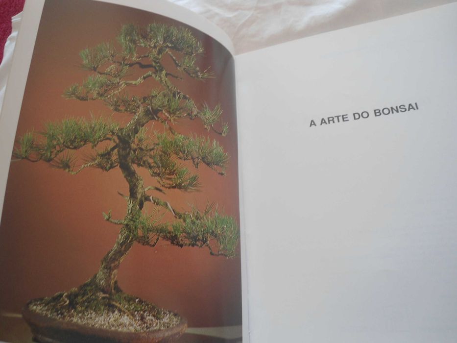 The Art of Bonsai by Peter Adams64550982150914123