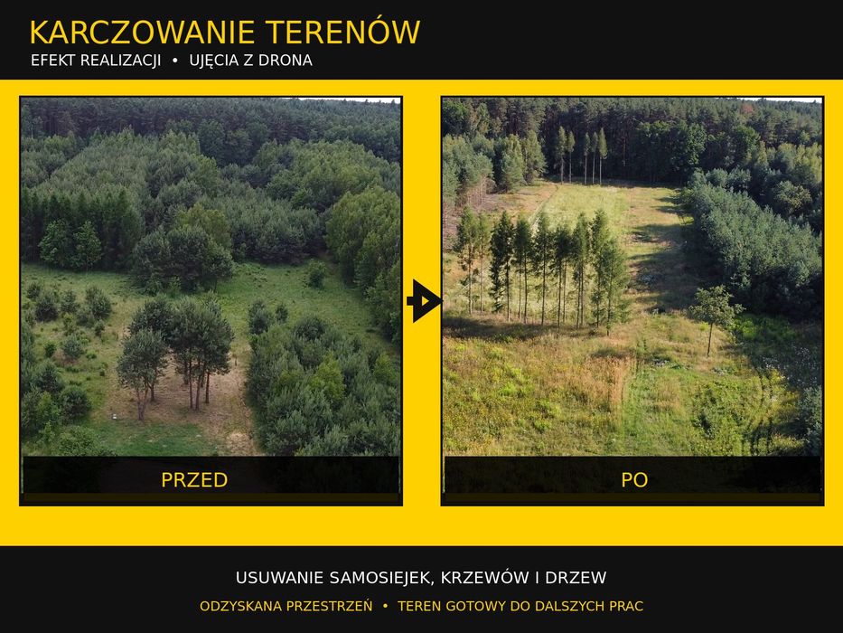 Wycinka drzew • frezowanie pni • karczowanie • cennik | Łódzkie