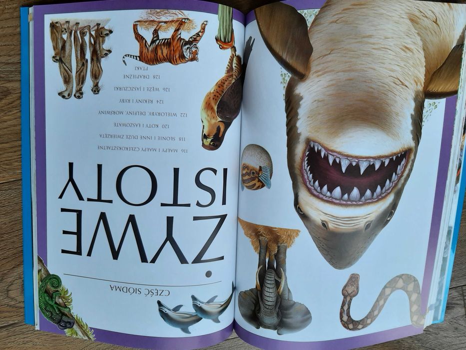 NASZ ŚWIAT Encyklopedia pytań i odpowiedzi