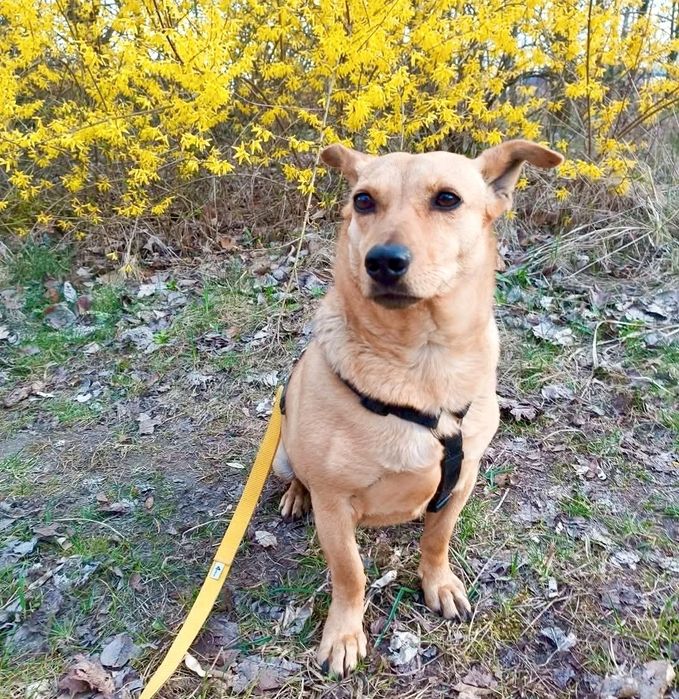 Nadusia prosi o szansę ...