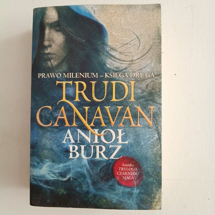 Anioł burz (Prawo milenium, #2). Trudi Canavan