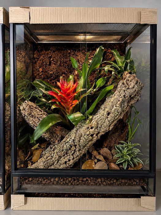 Terrarium 40x40x60
