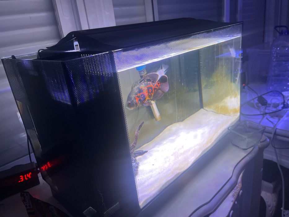 Aquário 50 litros completo