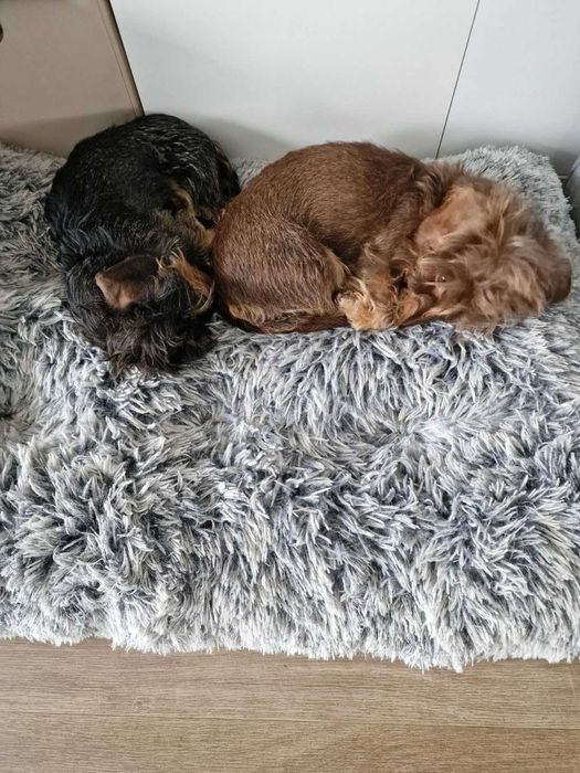 Duże legowisko puszysta poducha dla psa kota 80x50 cm