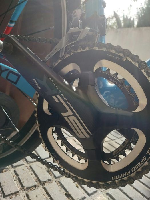 Focus cayo  carbono