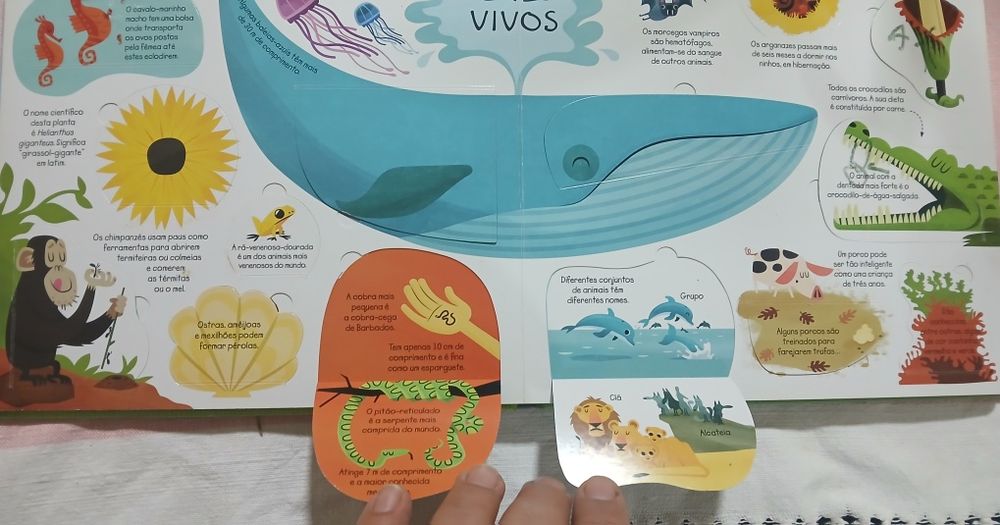 Espreita o conhecimento - Porto Editora