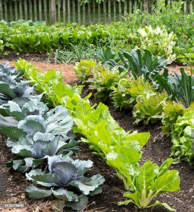 Срочно продам дом в Чугуеве