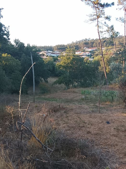Terreno  Figueira de Lorvao
