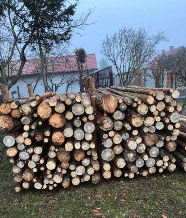 Дрова дубові вільхові березові Чесний метраж та щільна укладка Швидка доставка в день замовлення! 3/6.5/9.5/22 м3
